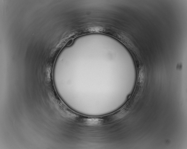 X0000115080363200911171159