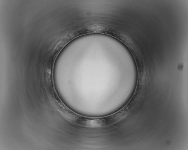 X0000115080365200911171159