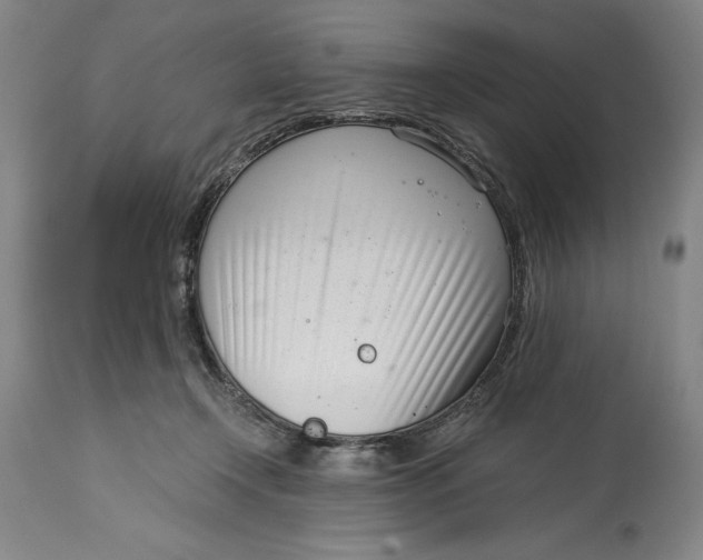 X0000115080366200911171159