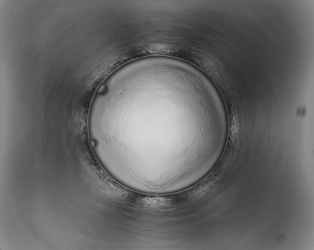 X0000115080367200911171159