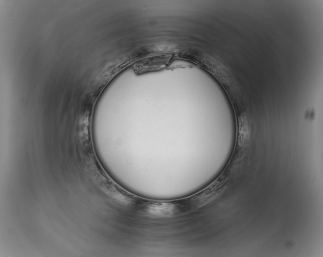 X0000115080369200911171159