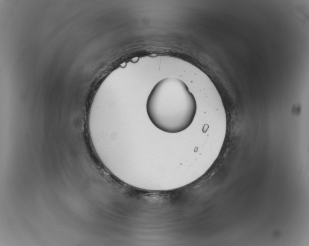 X0000115080370200911171159