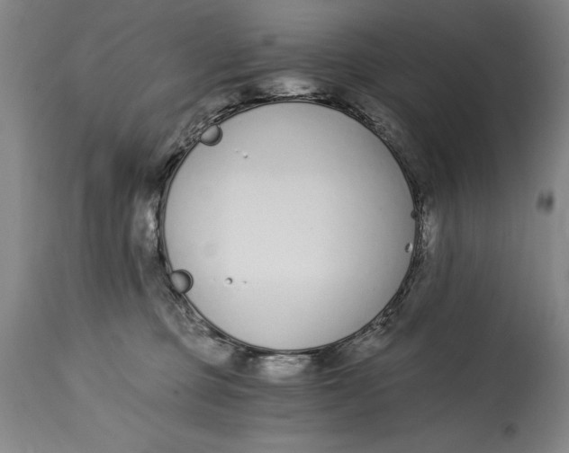 X0000115080373200911171159