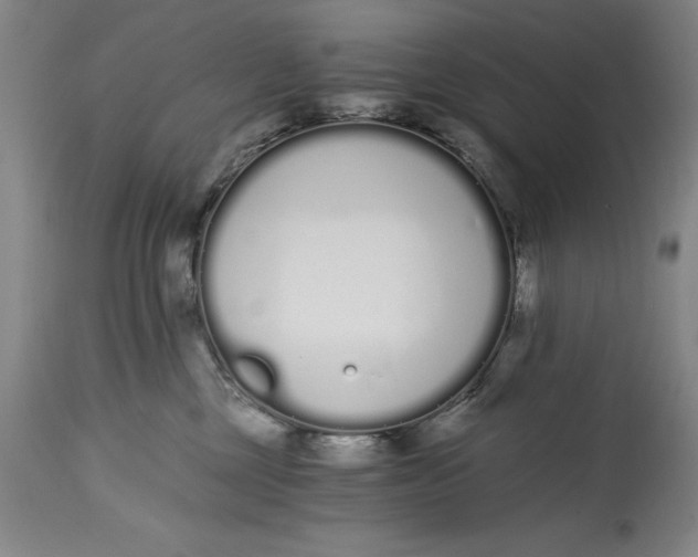 X0000115080377200911171159