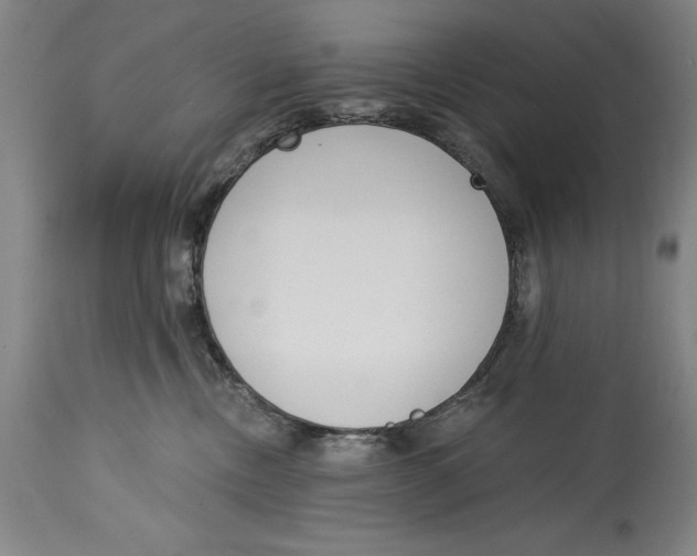X0000115080378200911171159