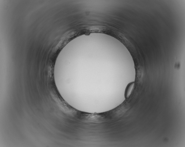 X0000115080379200911171159