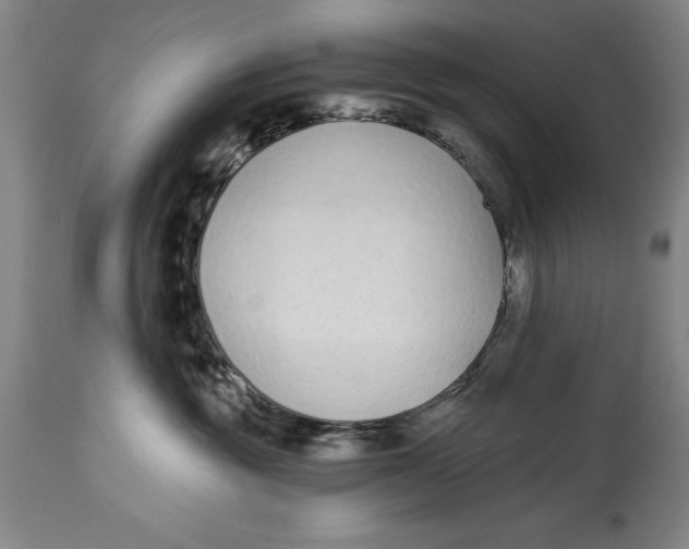 X0000115080381200911171159