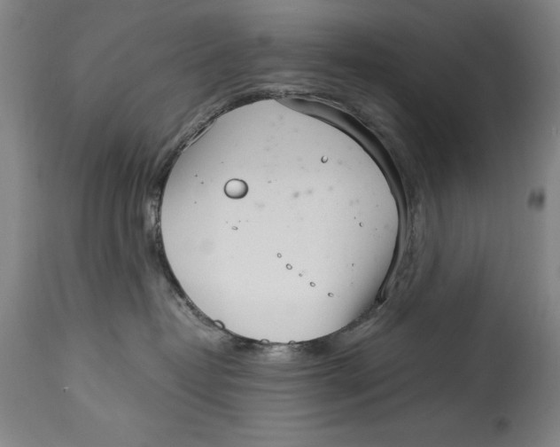 X0000115080382200911171159