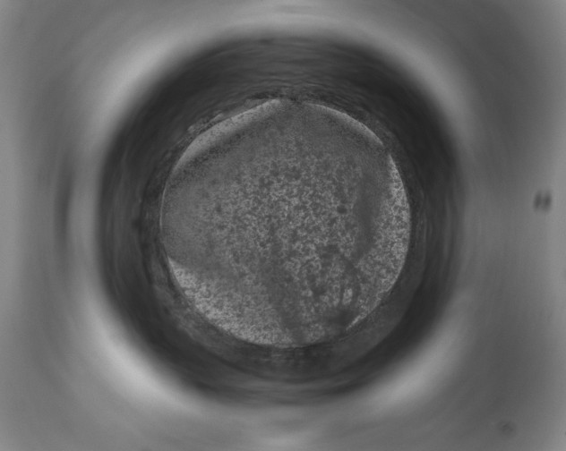 X0000115080383200911171159