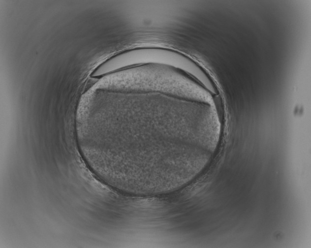 X0000115080385200911171159