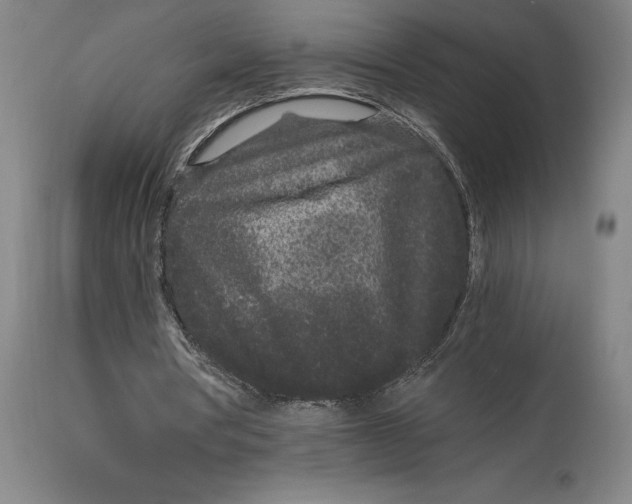 X0000115080386200911171159