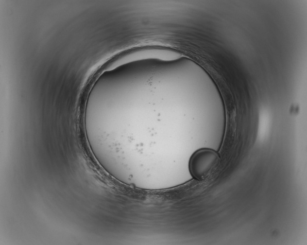 X0000115080388200911171159