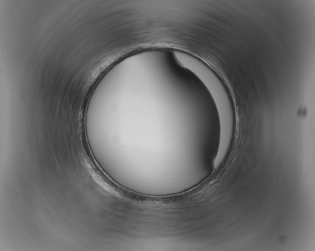 X0000115080389200911171159