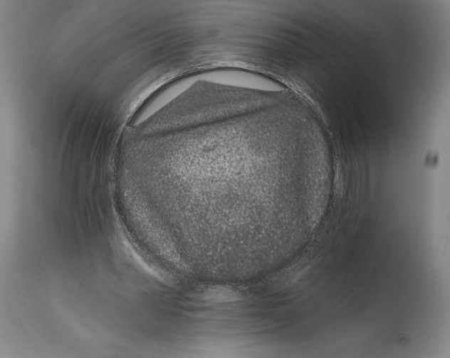 X0000115080390200911171159
