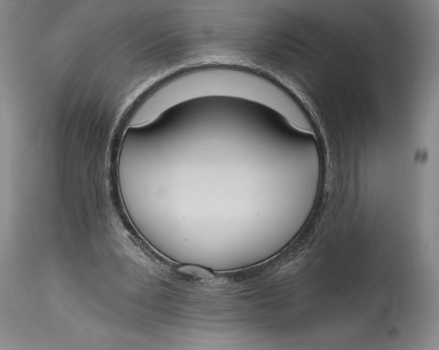 X0000115080391200911171158