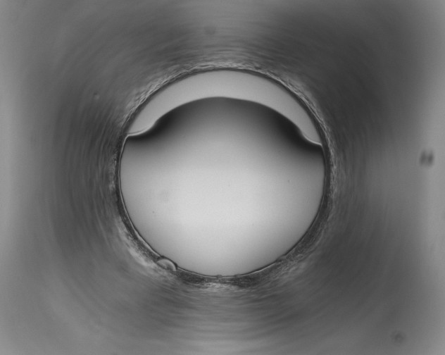 X0000115080393200911171158