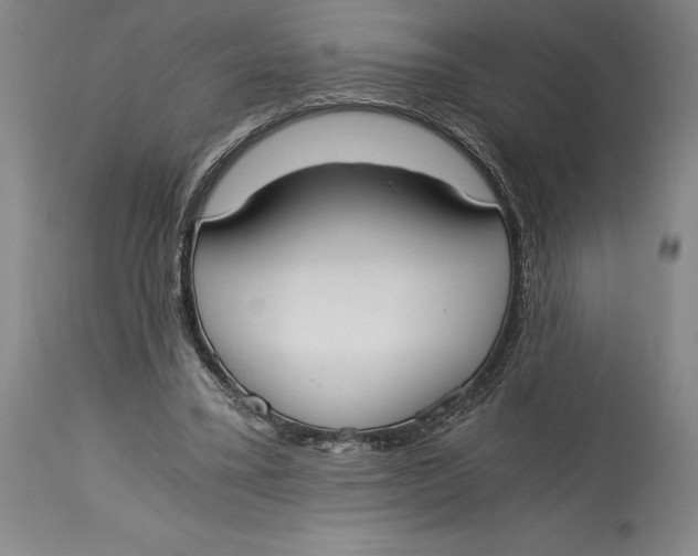 X0000115080395200911171158