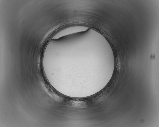 X0000115080400200911171158