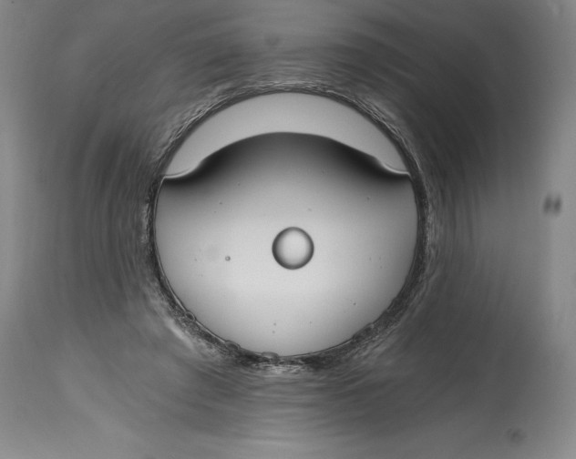 X0000115080401200911171158