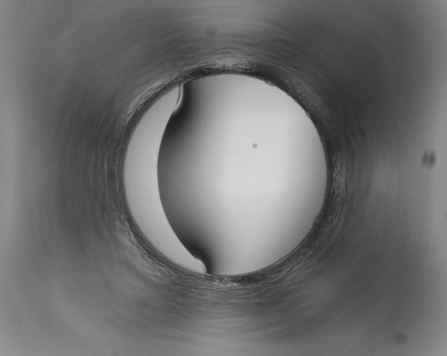 X0000115080403200911171158