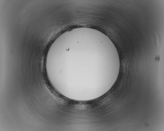 X0000115080404200911171158