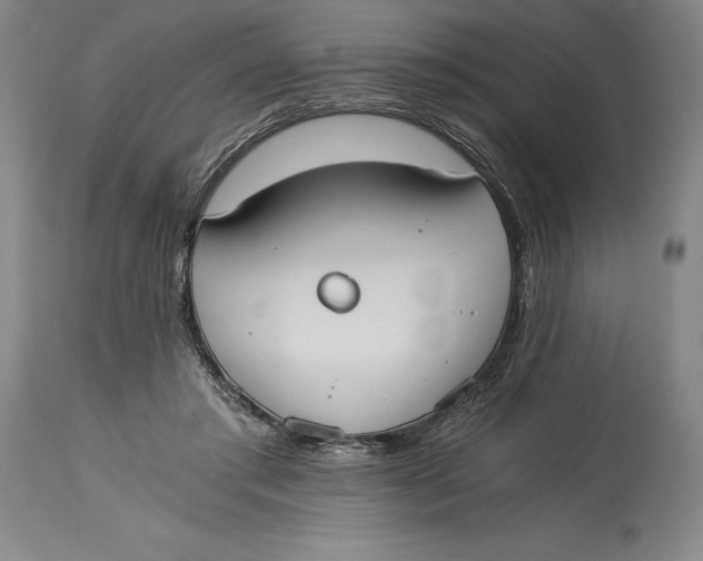 X0000115080405200911171158