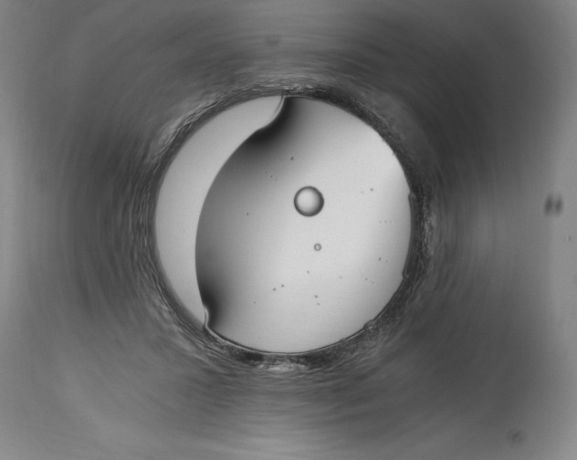 X0000115080407200911171158