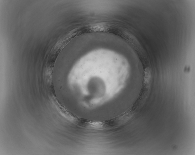 X0000115080409200911171158