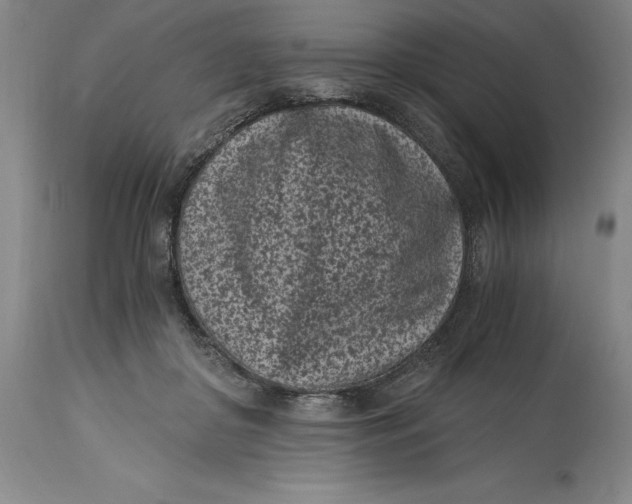 X0000115080410200911171158