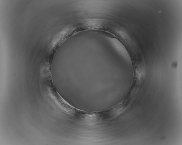 X0000115080411200911171158