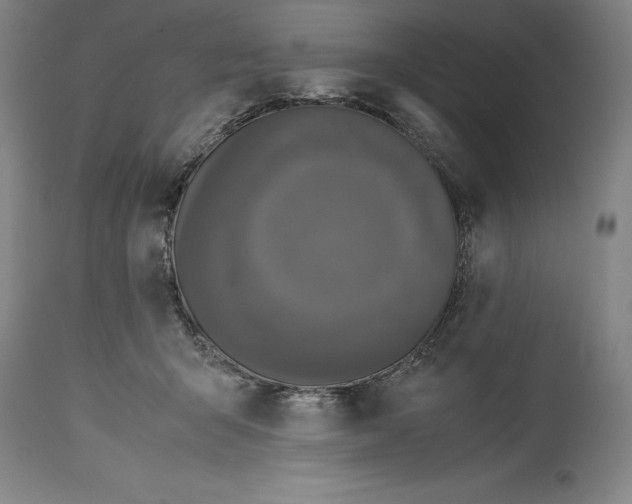 X0000115080415200911171158