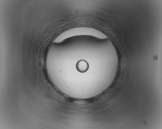 X0000115080417200911171158
