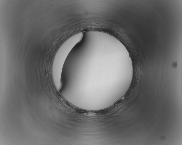 X0000115080419200911171158