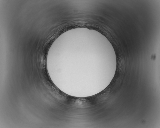 X0000115080420200911171158