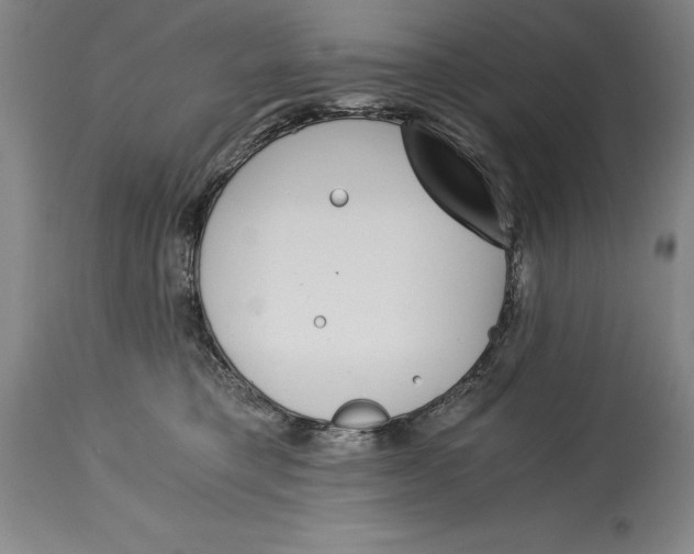 X0000115080421200911171158