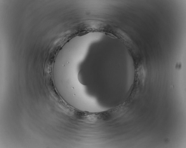X0000115080423200911171158