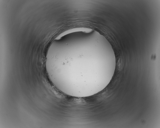 X0000115080424200911171158