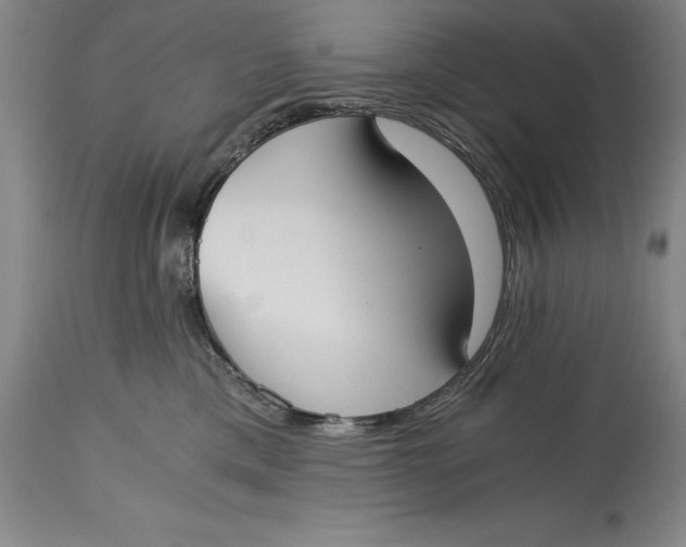 X0000115080425200911171158