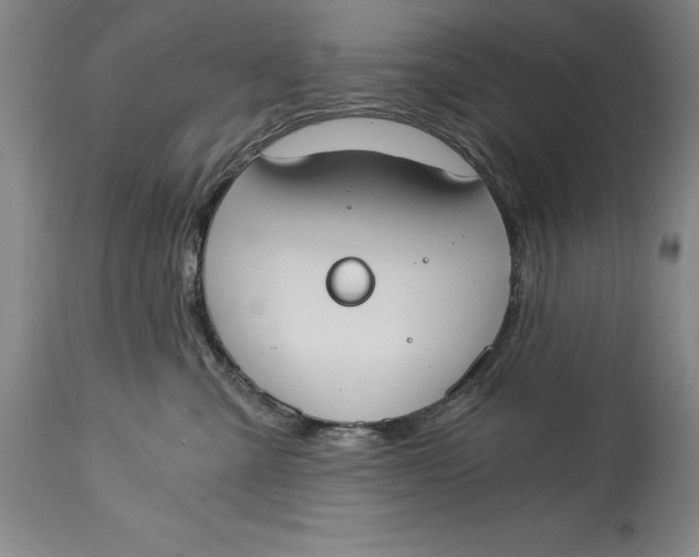 X0000115080427200911171158