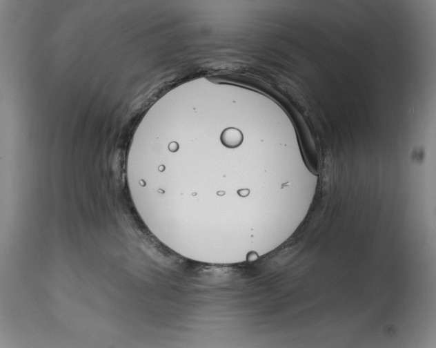 X0000115080428200911171158