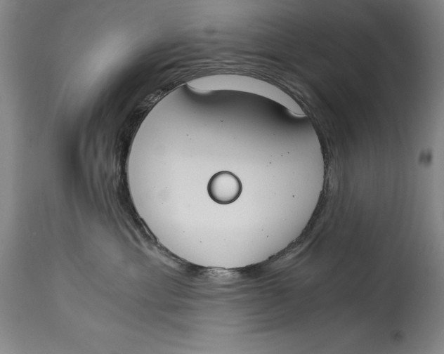 X0000115080429200911171158