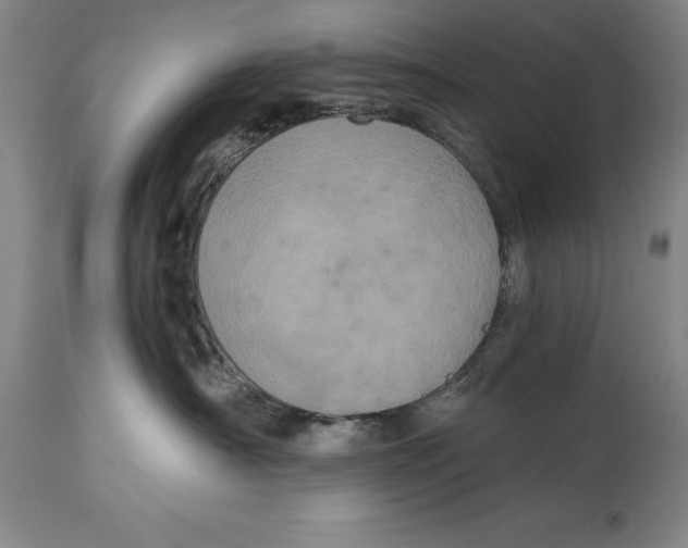 X0000115080430200911171158