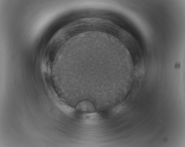 X0000115080431200911171158