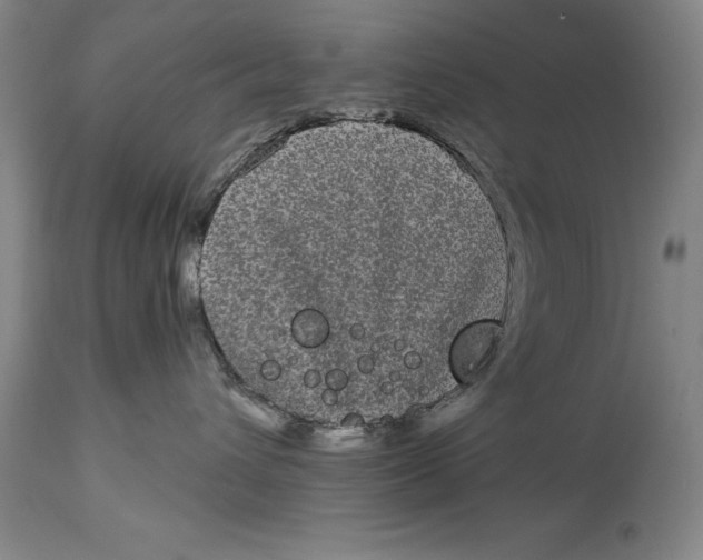 X0000115080432200911171158
