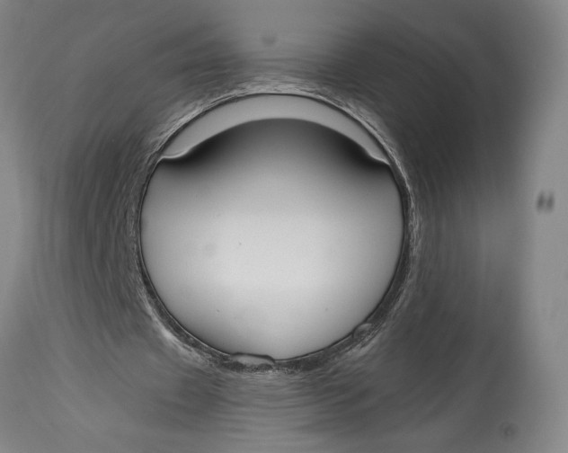 X0000115080433200911171157
