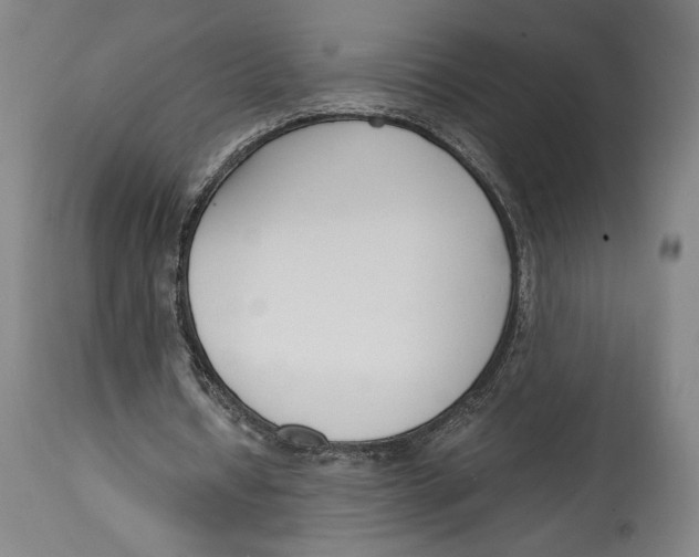 X0000115080434200911171157