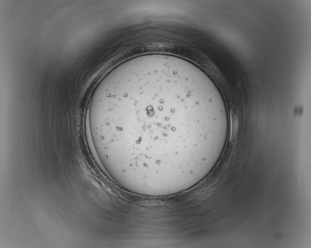 X0000115080435200911171157