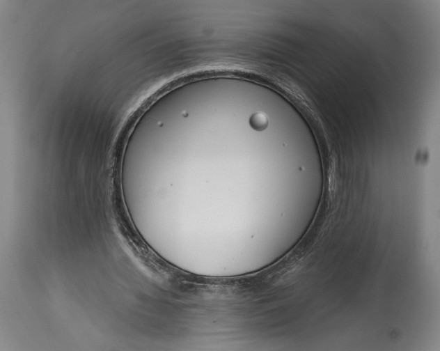 X0000115080436200911171157