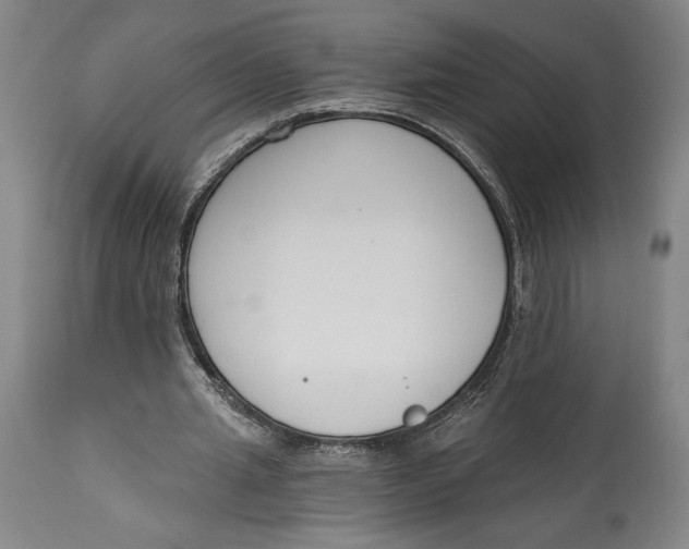 X0000115080437200911171157