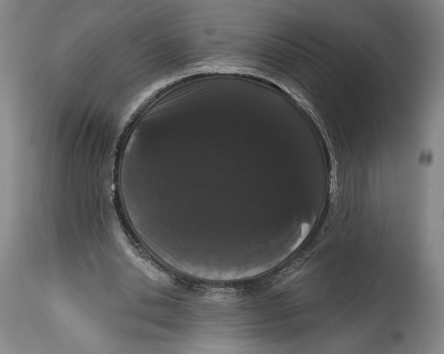 X0000115080438200911171157